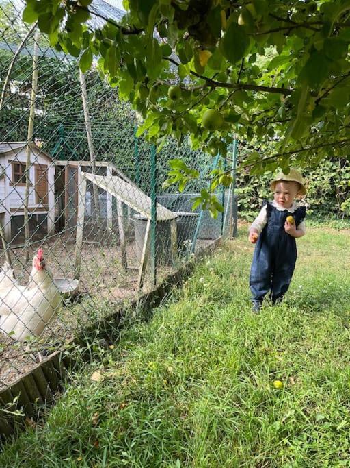 Le Colombage, Jolie Longere Pres De Giverny Eure Hardencourt-Cocherel エクステリア 写真